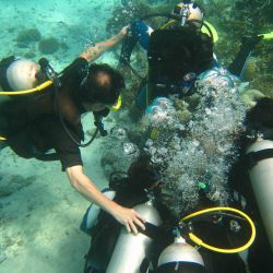 高氧潛水教練訓練班